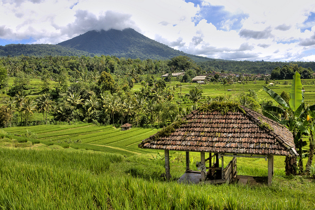 6 Nights Family Adventure in Sri Lanka - Economy