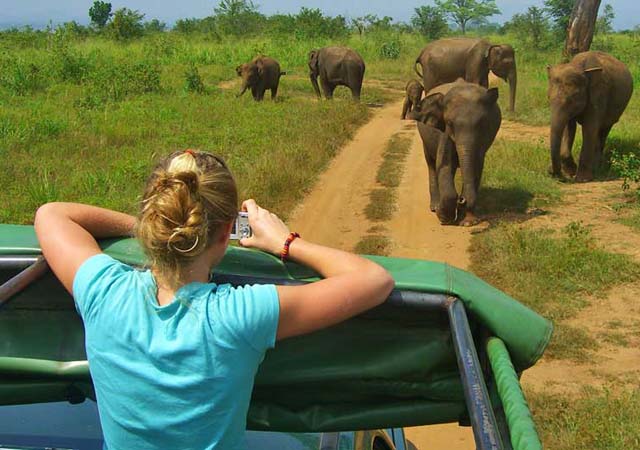 4 Nights Sri Lanka Adventure - Economy