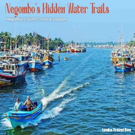 Exploring the Negombo Dutch Canal and Lagoon