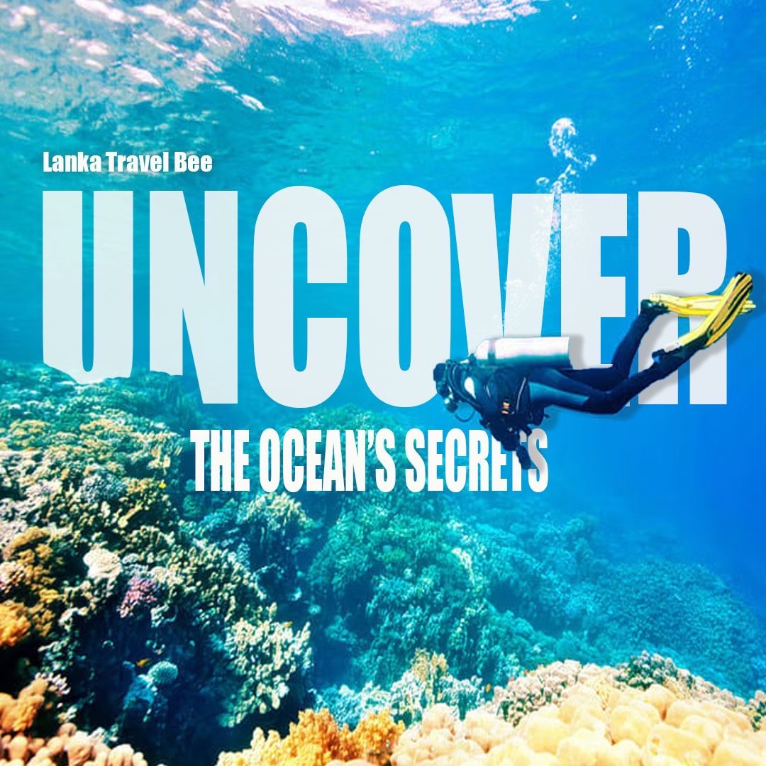 Ocean Secrets of Sri Lanka