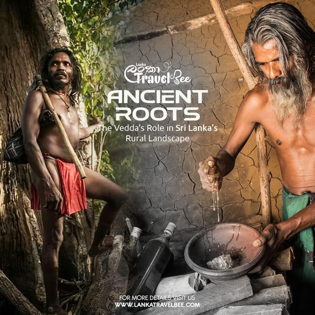 The Vedda’s Role in Sri Lanka