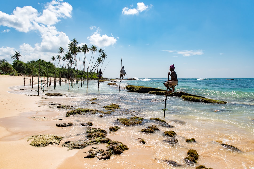 Best Time to Visit Sri Lanka — Month by Month Guide