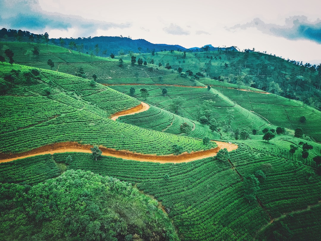 Sri Lanka Car Hire with Driver — What You Need to Know